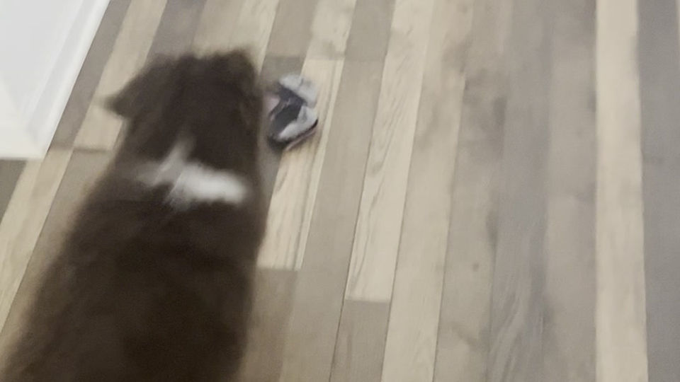 Playtime